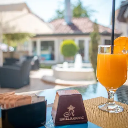 Hotel Garni Radovic 3*