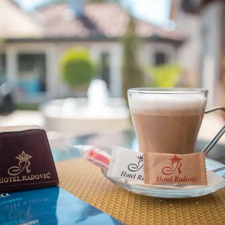 Garni Radovic Hotel